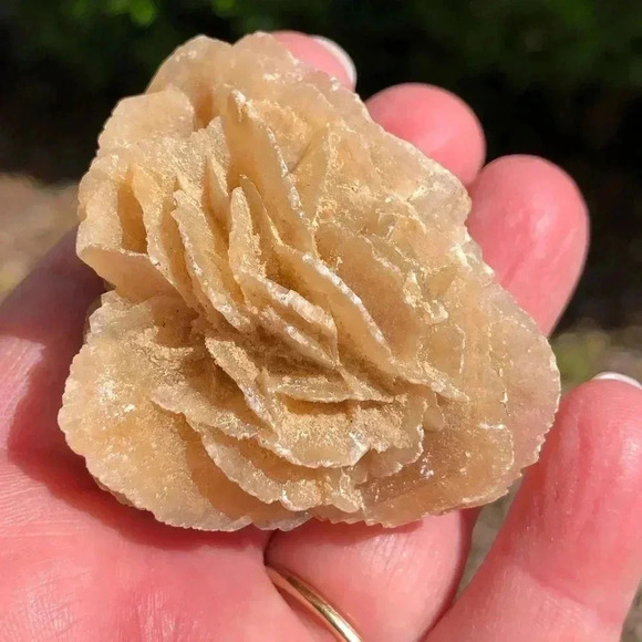 Gypsum Crystal Desert Rose - Picture 1 of 6